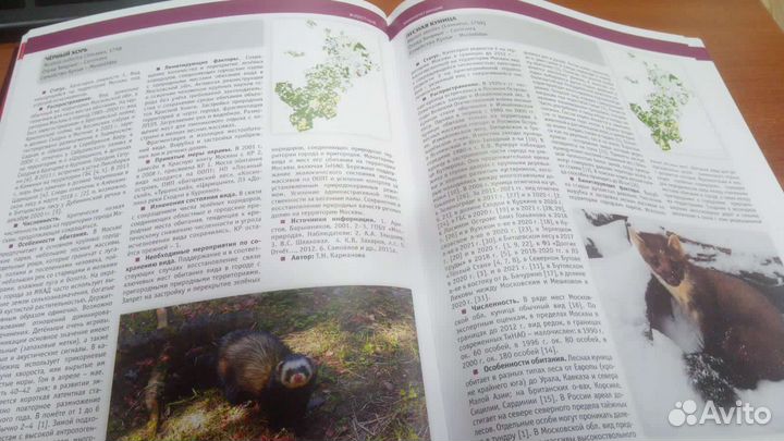 Новое издание Красной книги Москвы, 2022