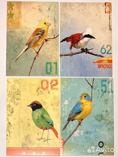 Почтовые карточки, открытки