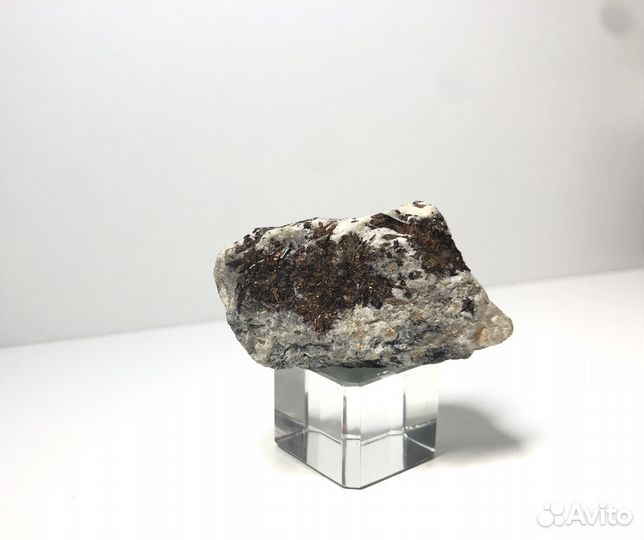 Астрофиллит