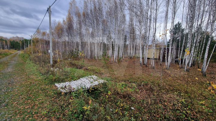 Участок 18 сот. (СНТ, ДНП)