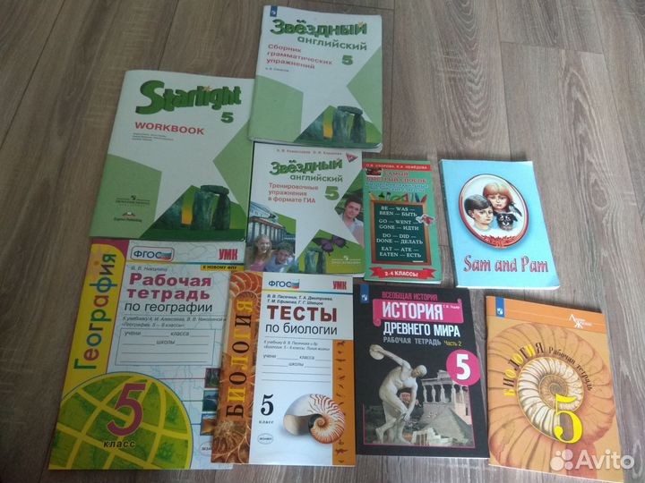 Рабочие тетради 5 класс