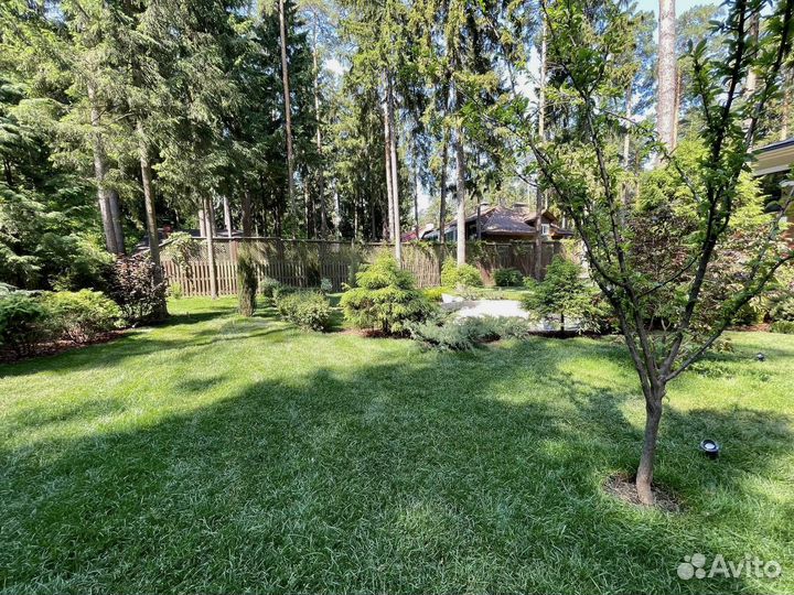 Рулонный газон