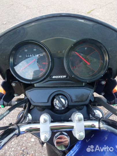 Bajaj Boxer BM 150 X Disk