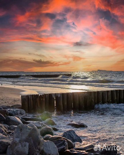 Экскурсии на Куршскую косу