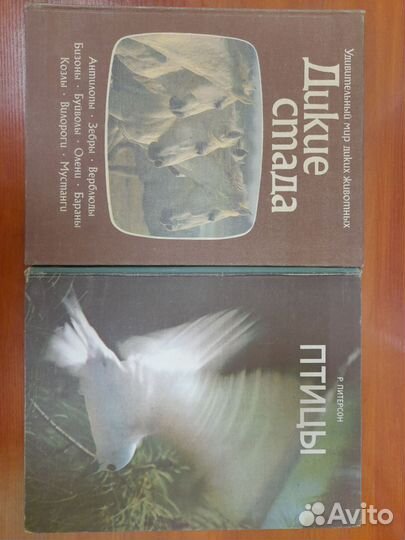 Удивительный мир диких животных