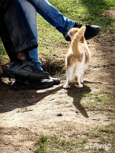 Мобильная фотография (мобильный фотограф)