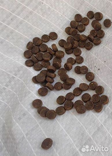 Корм для рыб от производителя