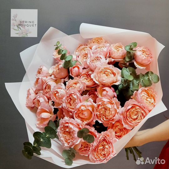 Розы Эквадор кустовые эвкалипт