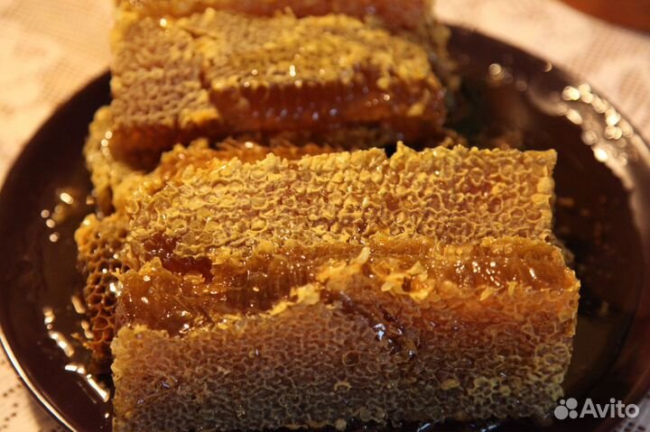 Пчёлы рои пчелопакеты развитые семьи с ульями