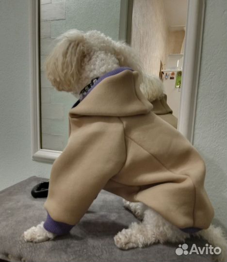 Одежда для собак