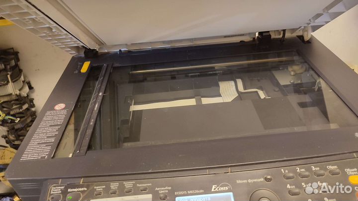 Мфу kyocera цветной m6526cdn