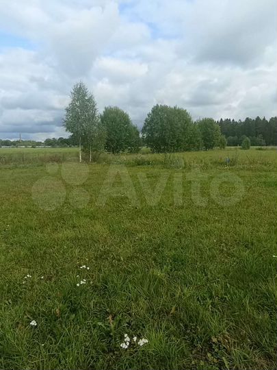 Участок 10 сот. (ИЖС)