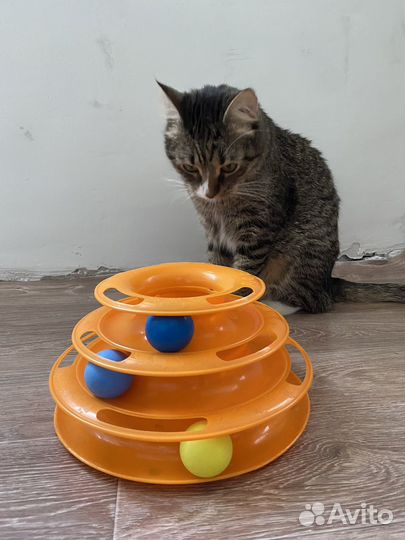 Игрушка для кошек