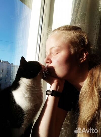 Передержка