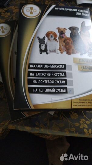 Бандаж для собак