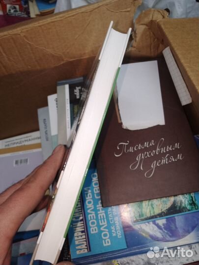 Иосиф Волоцкий, Алексей Алексеев, Жзл,2014 г