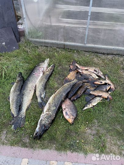 Отдых и рыбалка