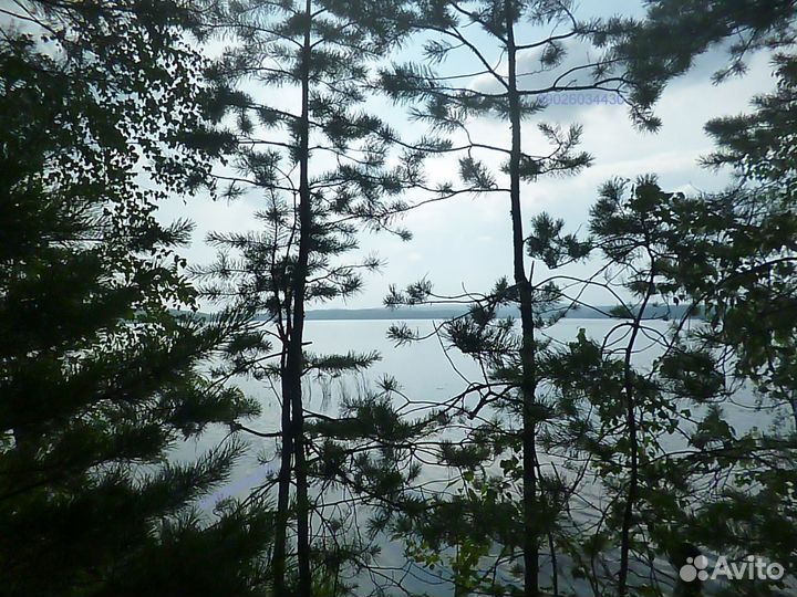 Семейный отдых пансионат Лесное Озеро Увильды