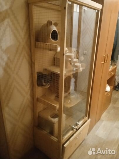 Клетка для грызунов с шиншиллой