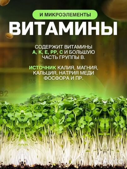 Набор для выращивания микрозелени