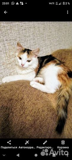 Малышка Полинка- Поля - Пошечка- Полюся 3,5мес