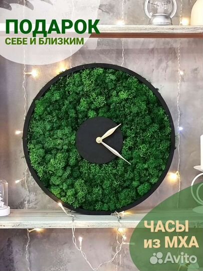 Часы со стабилизированным мхом