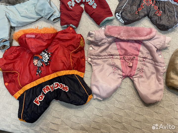 Вещи на маленьких собак