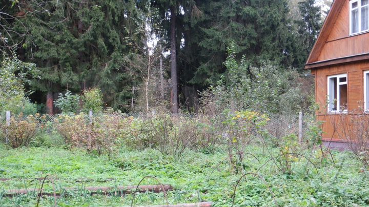 Дача 45 м² на участке 8 сот.