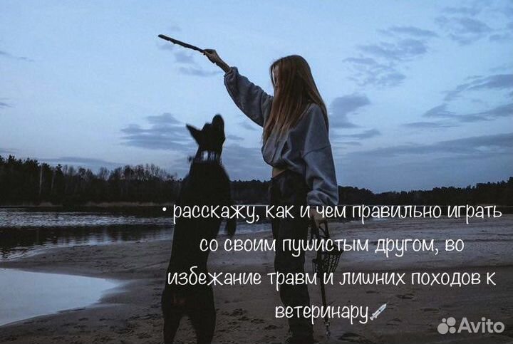 Услуги кинолога