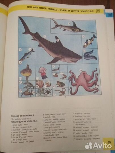 Английский язык для детей