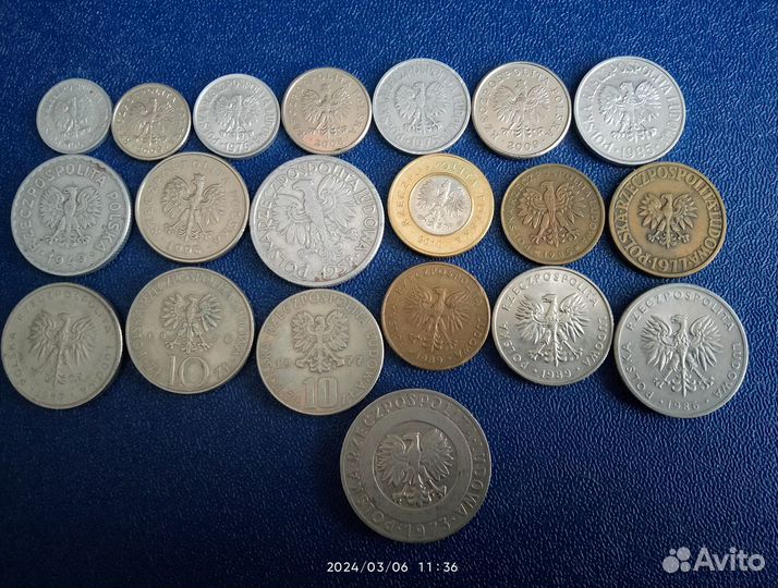 Польские монеты
