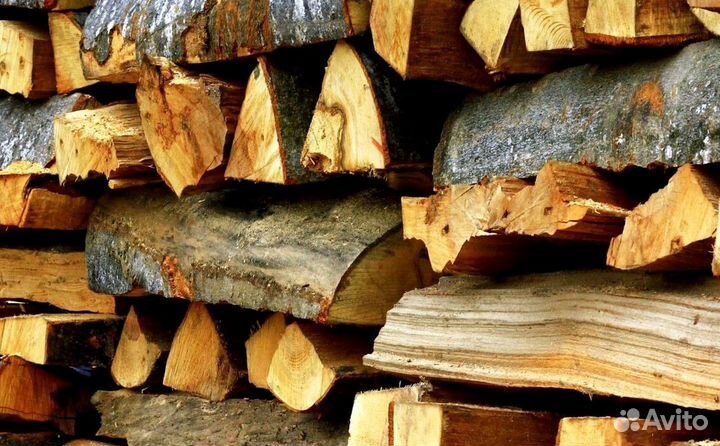 Дрова без жучков
