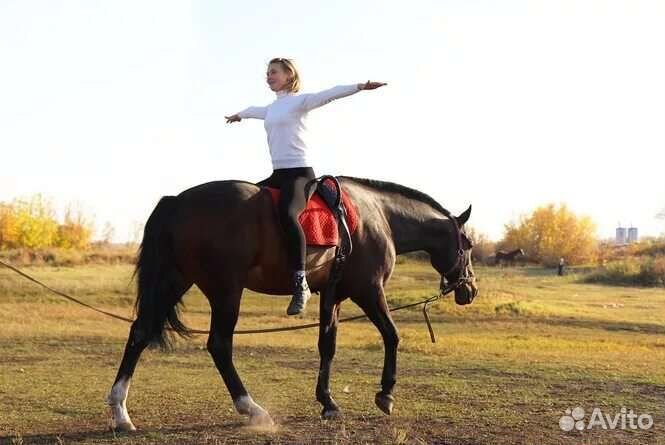 Гимнастика на лошади / Вольтижировка / Йога