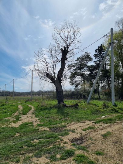 Участок 6 сот. (ИЖС)