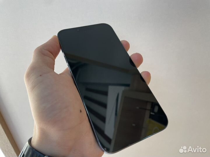 iPhone 13 Pro Max, 1 ТБ