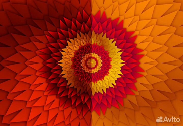 Обучение в программе Adobe Illustrator