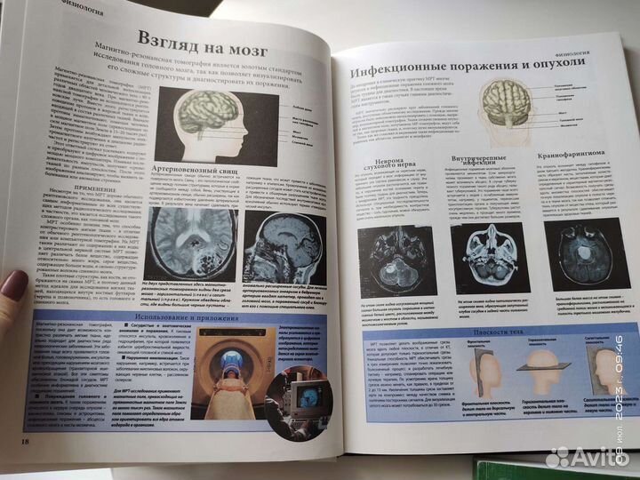 Книга анатомия человека, мозга