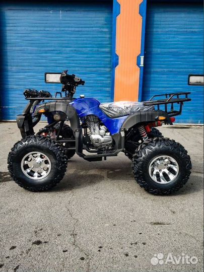 Квадроцикл Grizzly 250cc синий