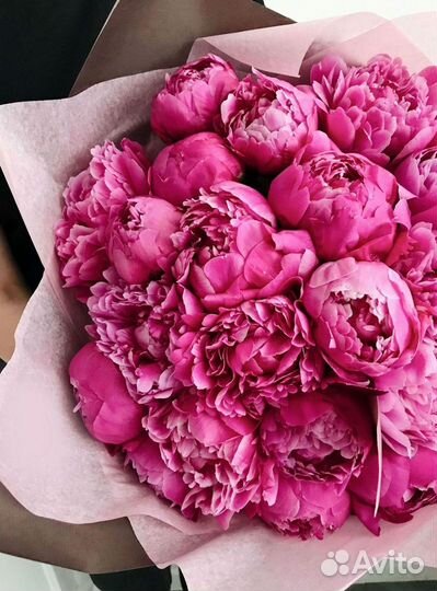 Пионы Букет пионов Доставка цветов