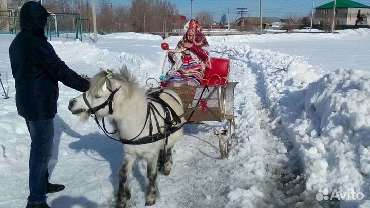 Прогулки на лошадях