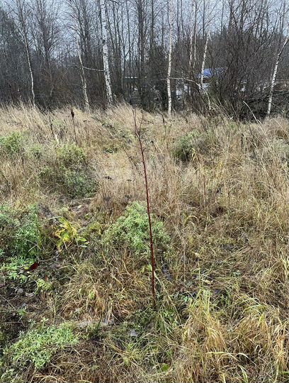 Участок 12 сот. (ИЖС)