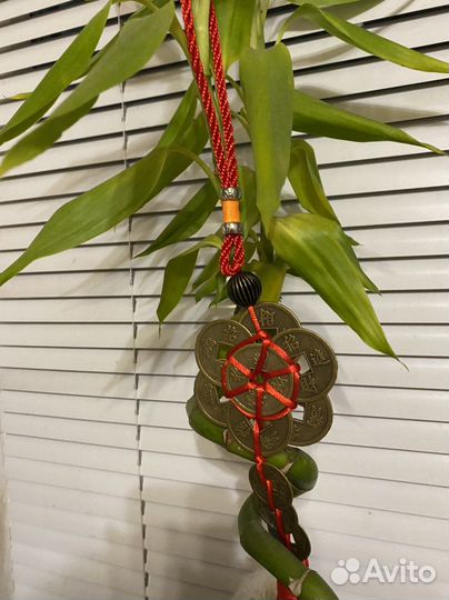 Китайский талисман на богатство