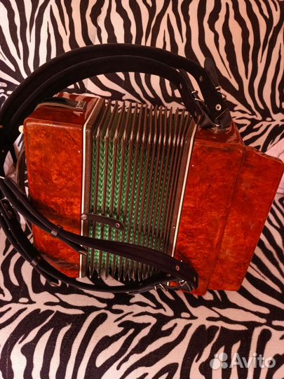 Гармонь ивушка