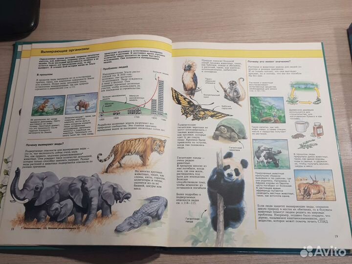 Энциклопедия