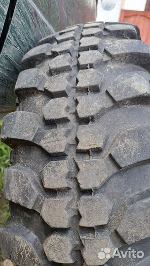 Forward Forward Safari 500 10/20 R31