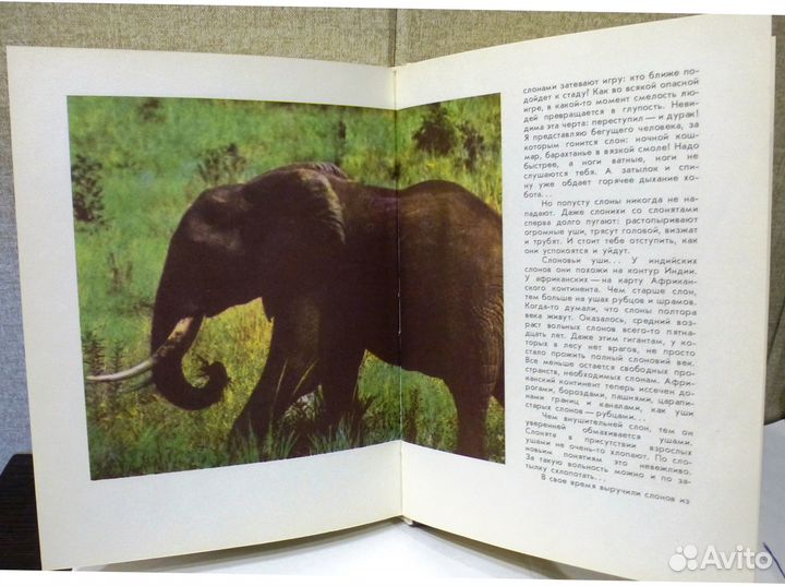 Детям о животных и птицах