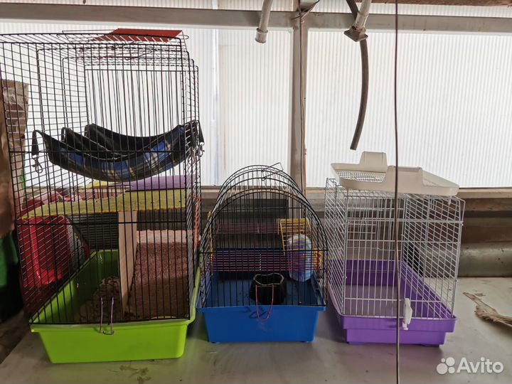 Клетка для грызунов бу