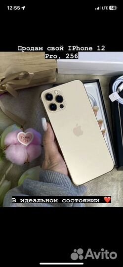 iPhone 12 Pro, 256 ГБ