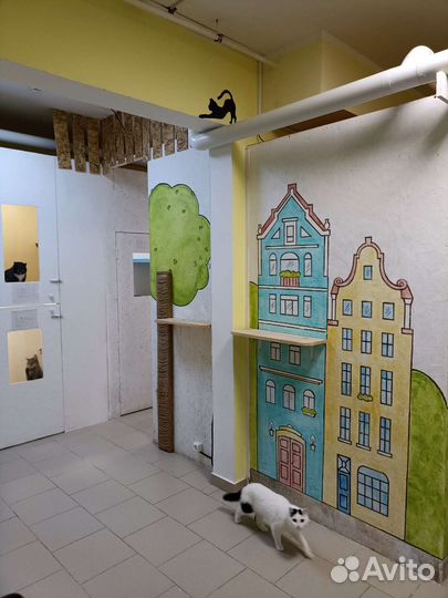 Зоогостиница 