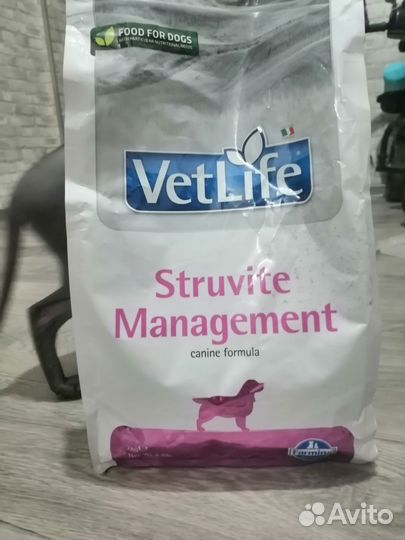 Корм для собак farmina vet life struvite